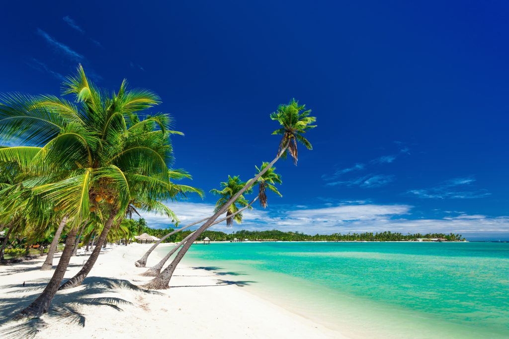 plantation-island-fiji