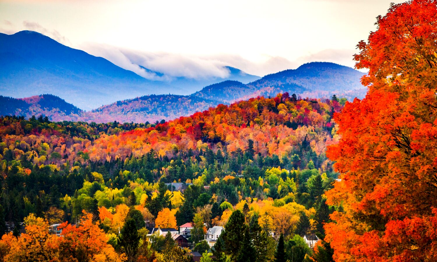 Photograph of a misty mountainous scene with red leaved trees. 