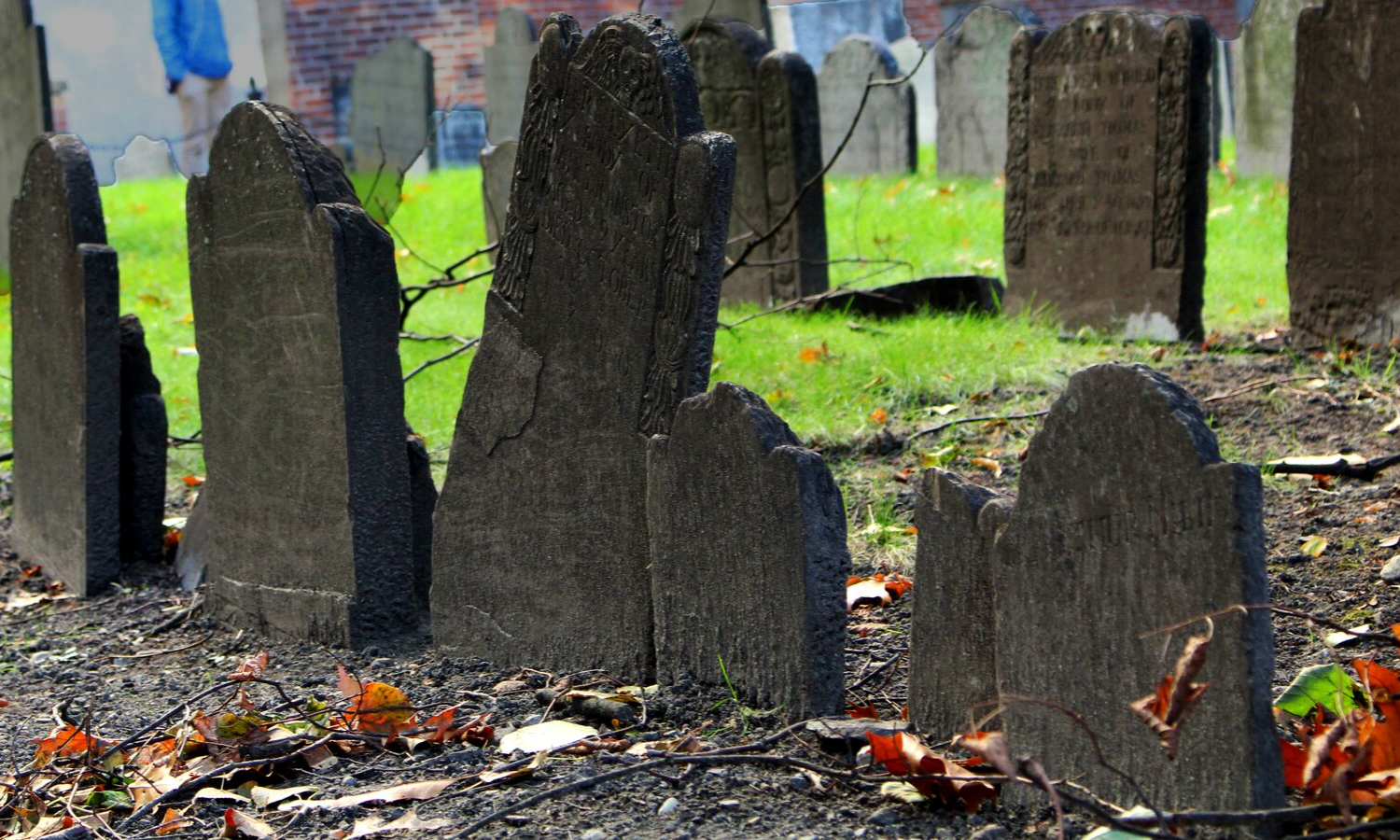 Image of a grave yard. 