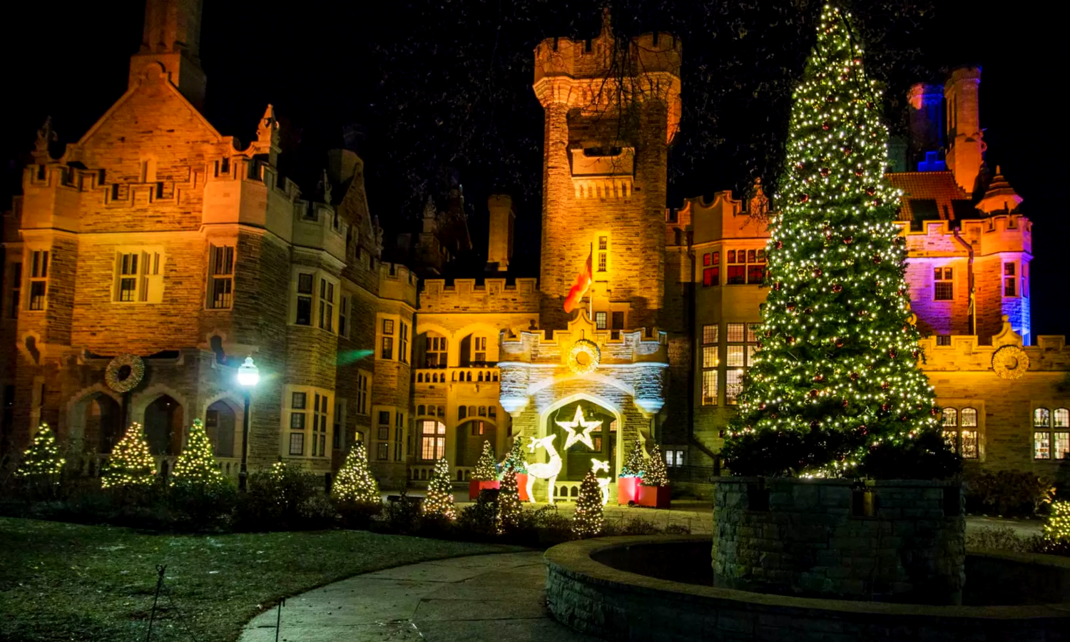 A picture of a gothic castle with a huge Christmas tree outside and adorned with fairy lights.