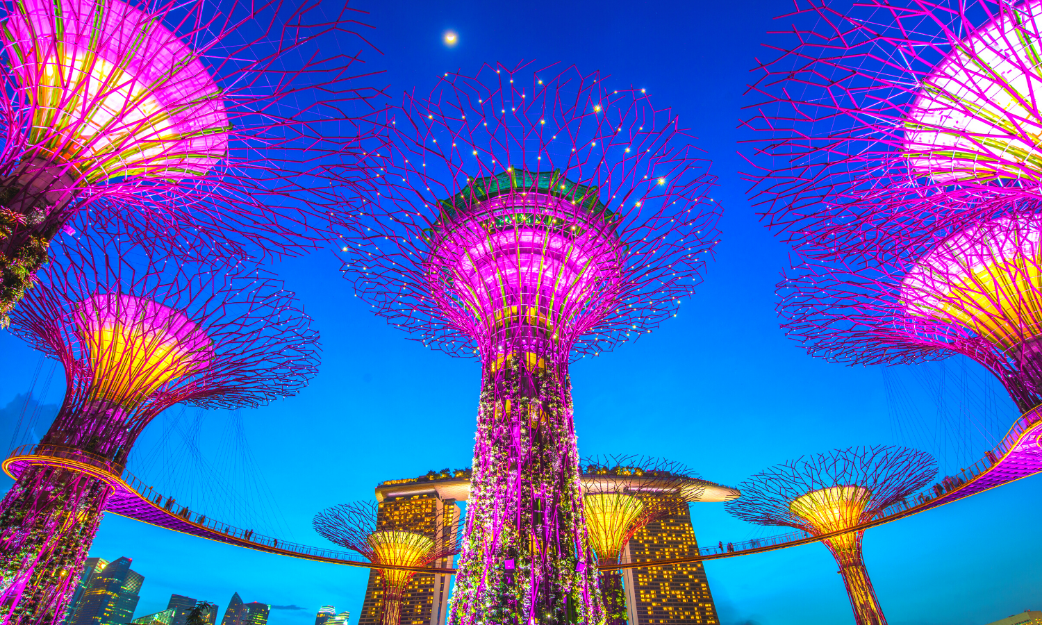 Skygarden trees in Singapore
