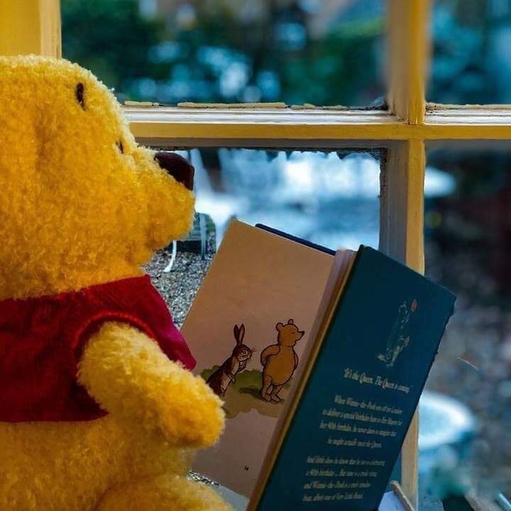Pooh bear Reading at Pooh Corner